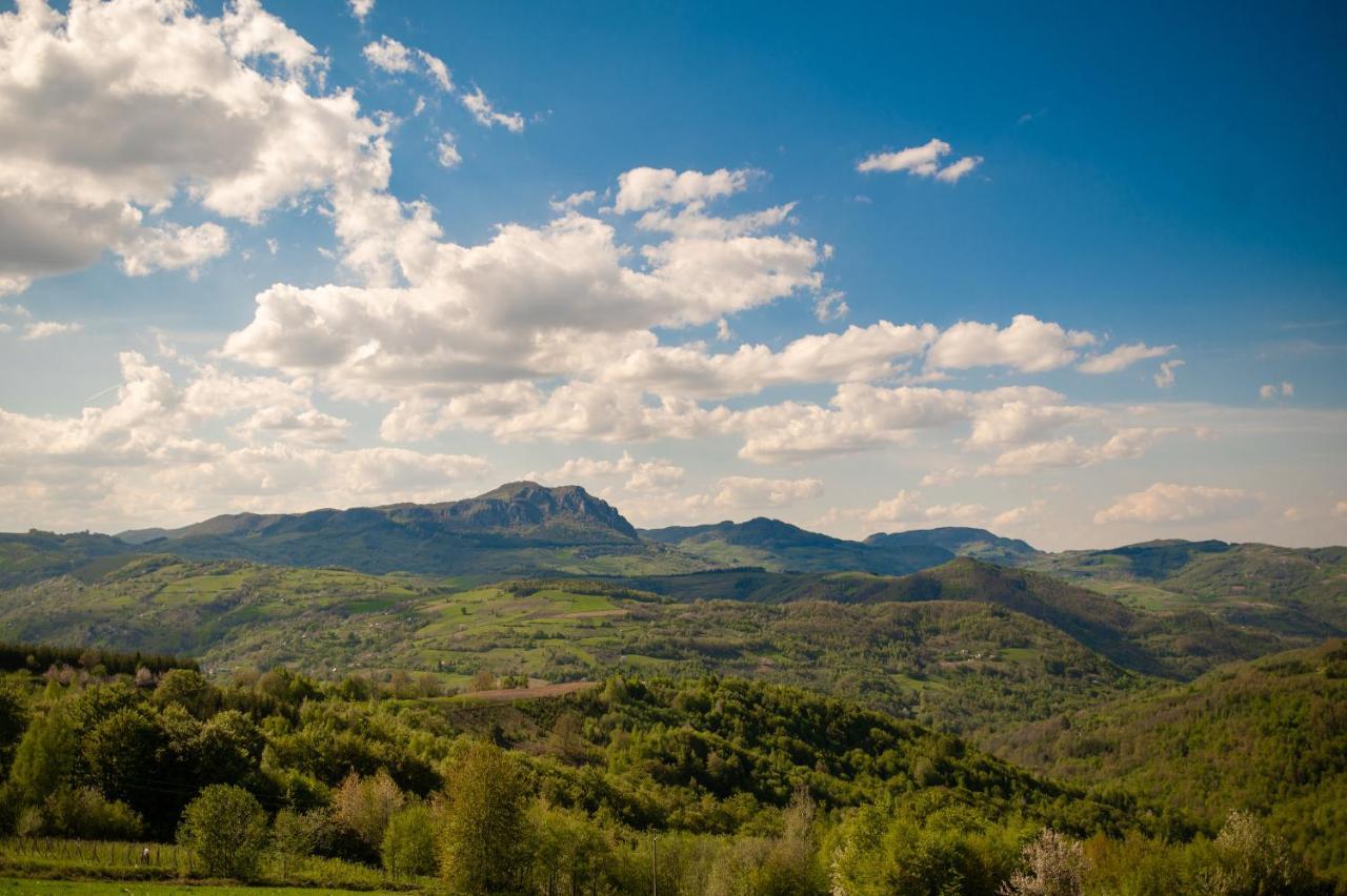 Vila Angelina Kušići Esterno foto