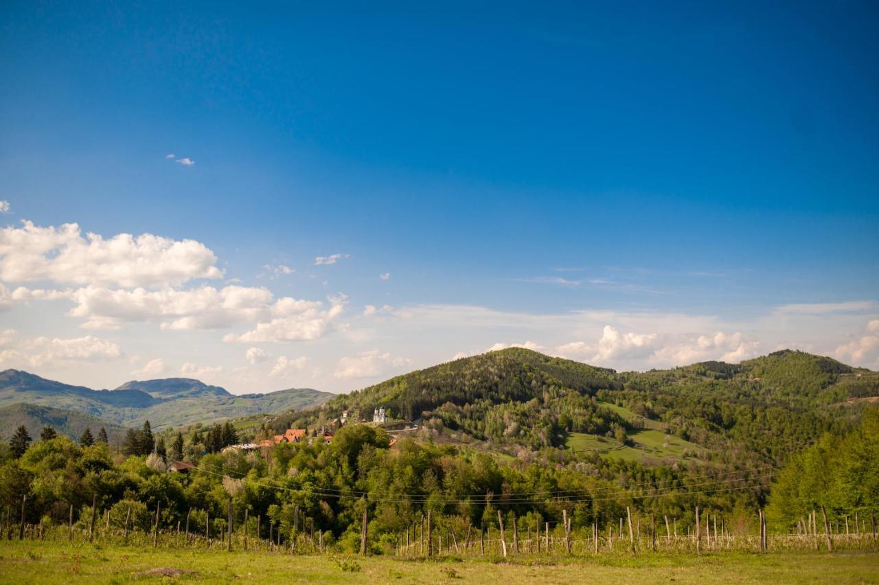 Vila Angelina Kušići Esterno foto