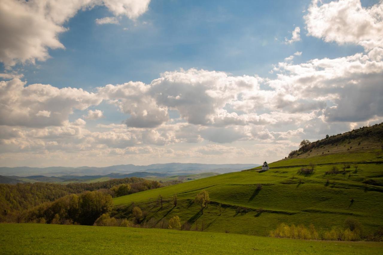 Vila Angelina Kušići Esterno foto